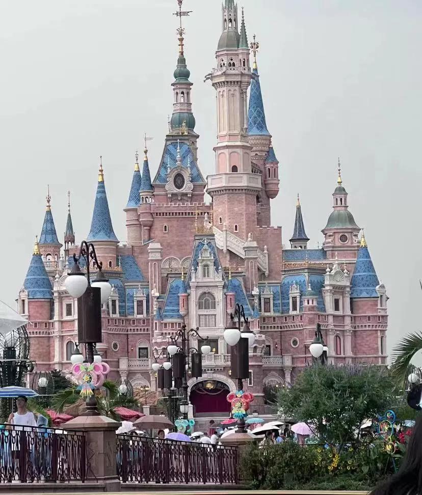 上迪，你风评差是有原因的总结:
我的雷点有很多
1下暴雨所有店铺都满座，很多游客