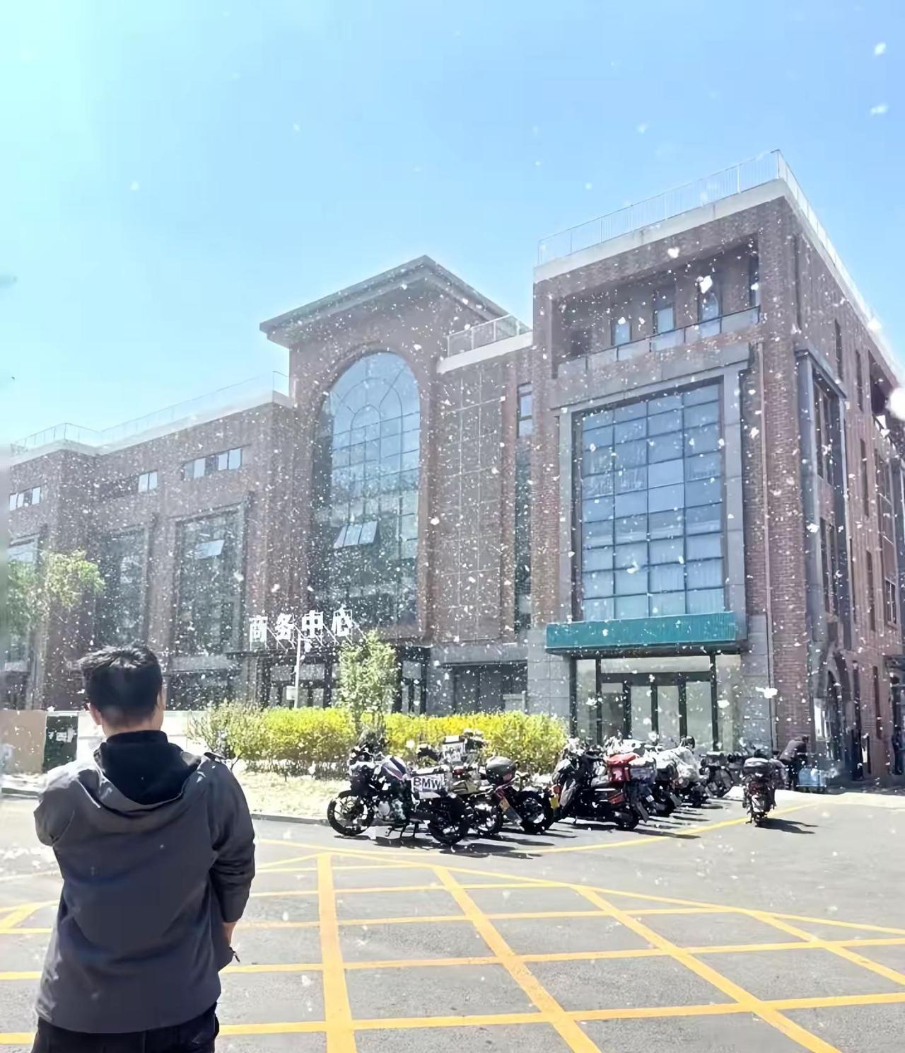 北京独有的天气。满天都是毛毛。