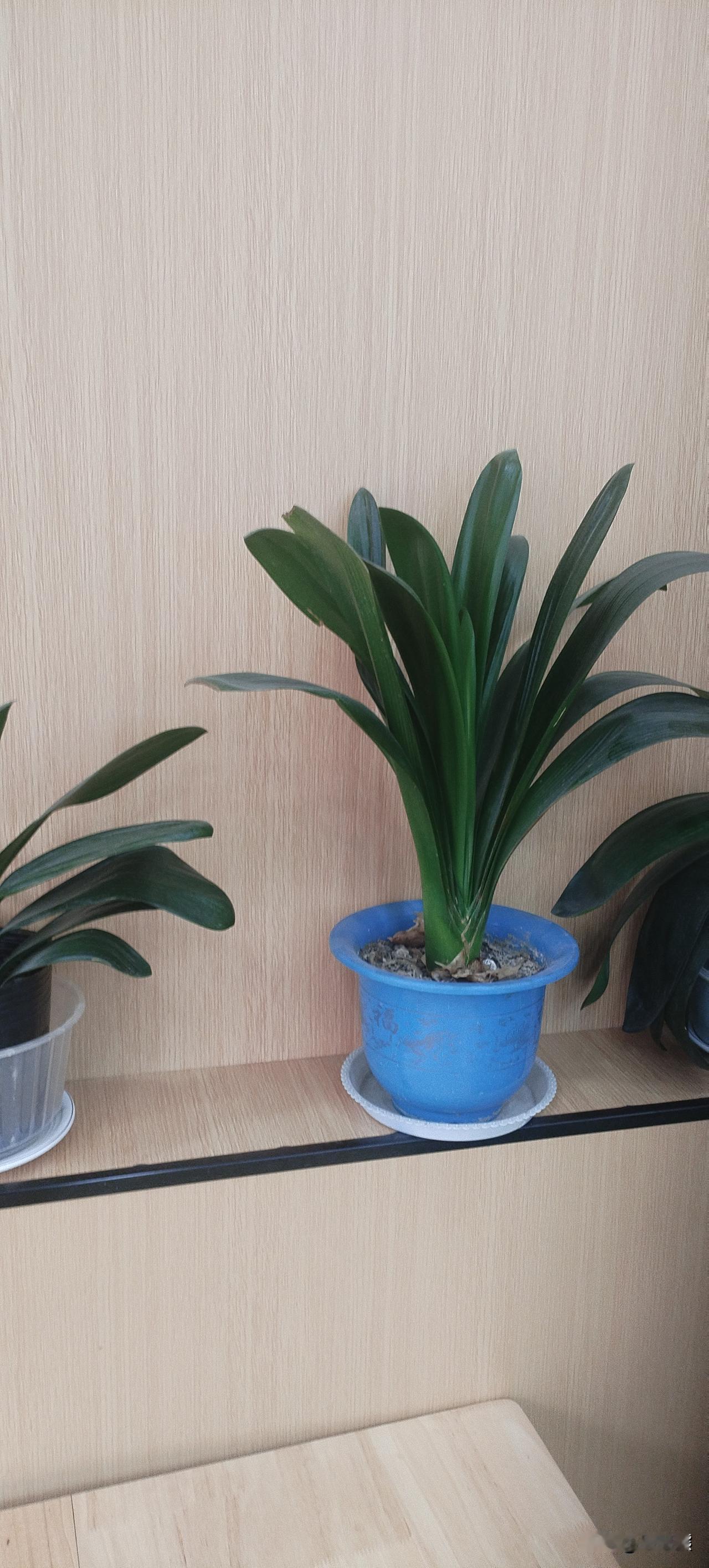 这还用说嘛？古代人没有手机，没有电脑，没有电动车。
现代人不到晚上12点，睡觉的