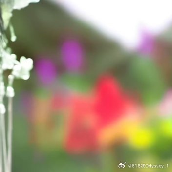 鞠婧祎 【姜黎非】🍊你是前世未知的心跳💓花仙归来自逢时鞠婧祎姜黎非鞠婧祎千香