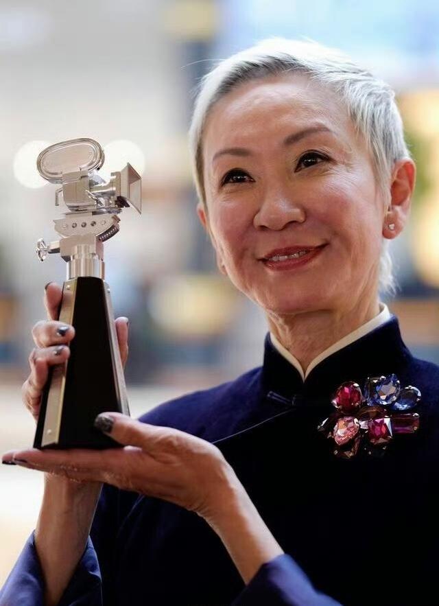 施南生的一些个人荣誉：

个人荣誉：
2025香港金像奖终身成就奖
2017柏林