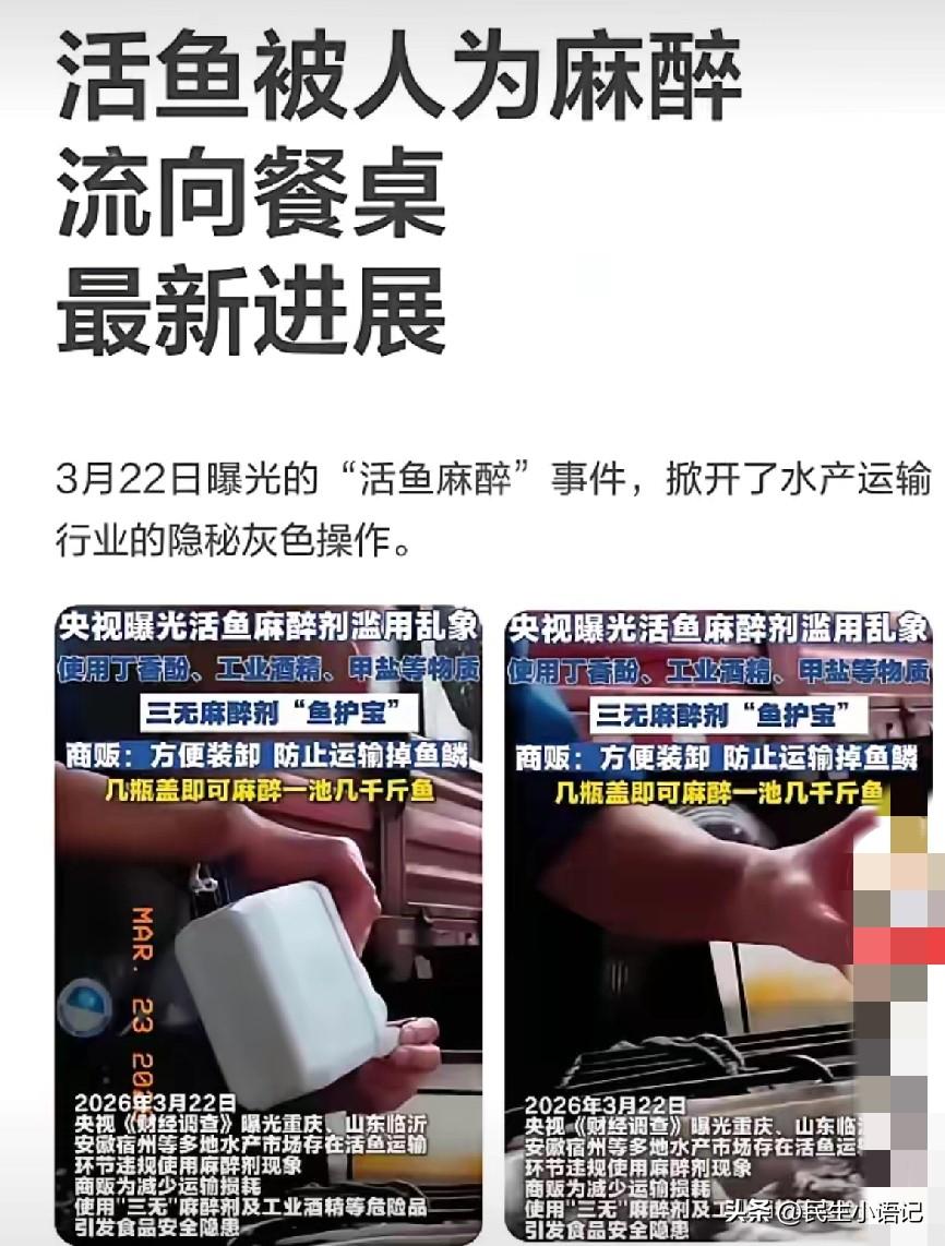 就问你可怕不，活鱼居然被人为的“麻醉”，再流向我们的餐桌，近日后续来了。
 
