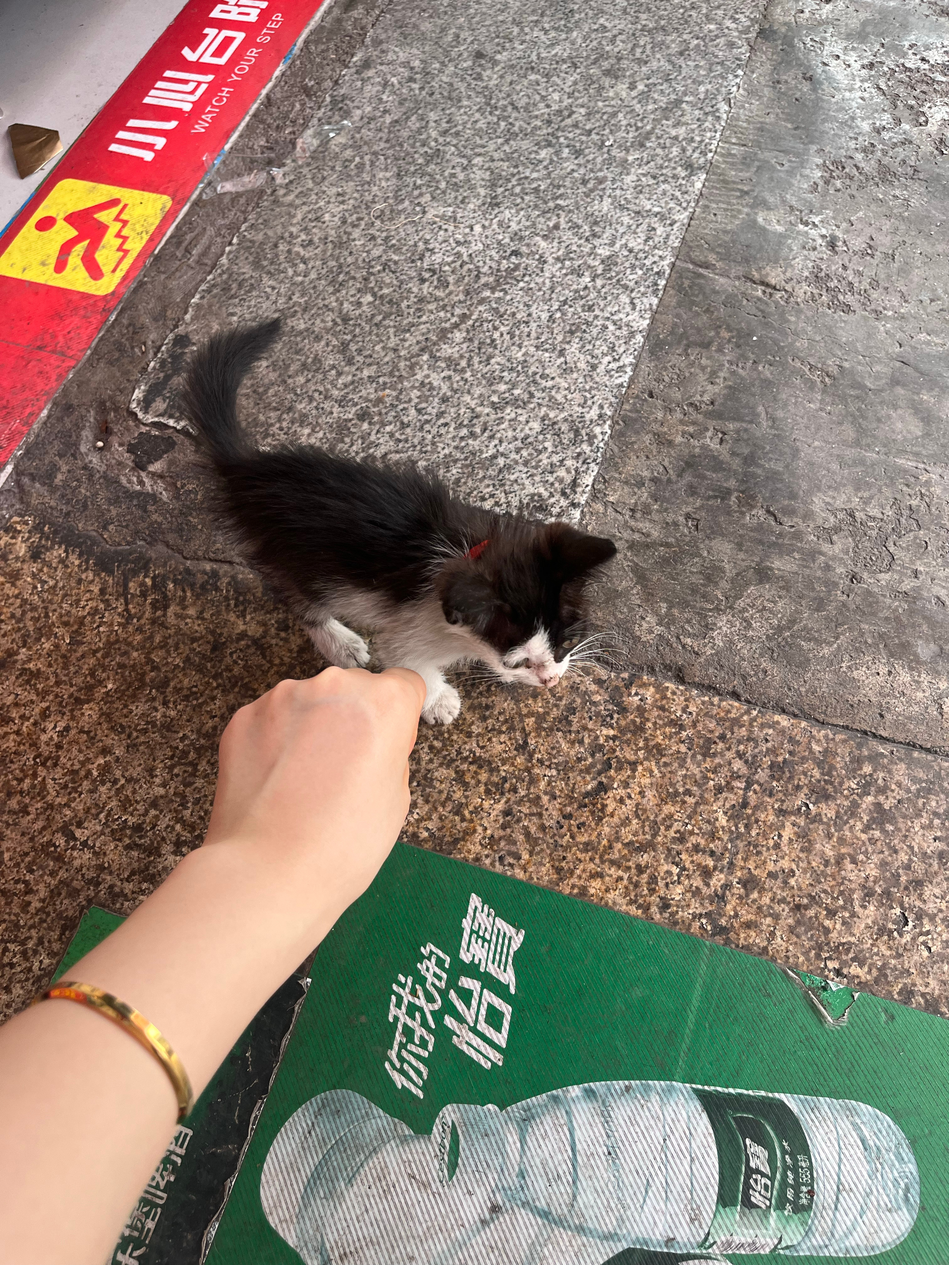 我走了哟雾都 ​​​