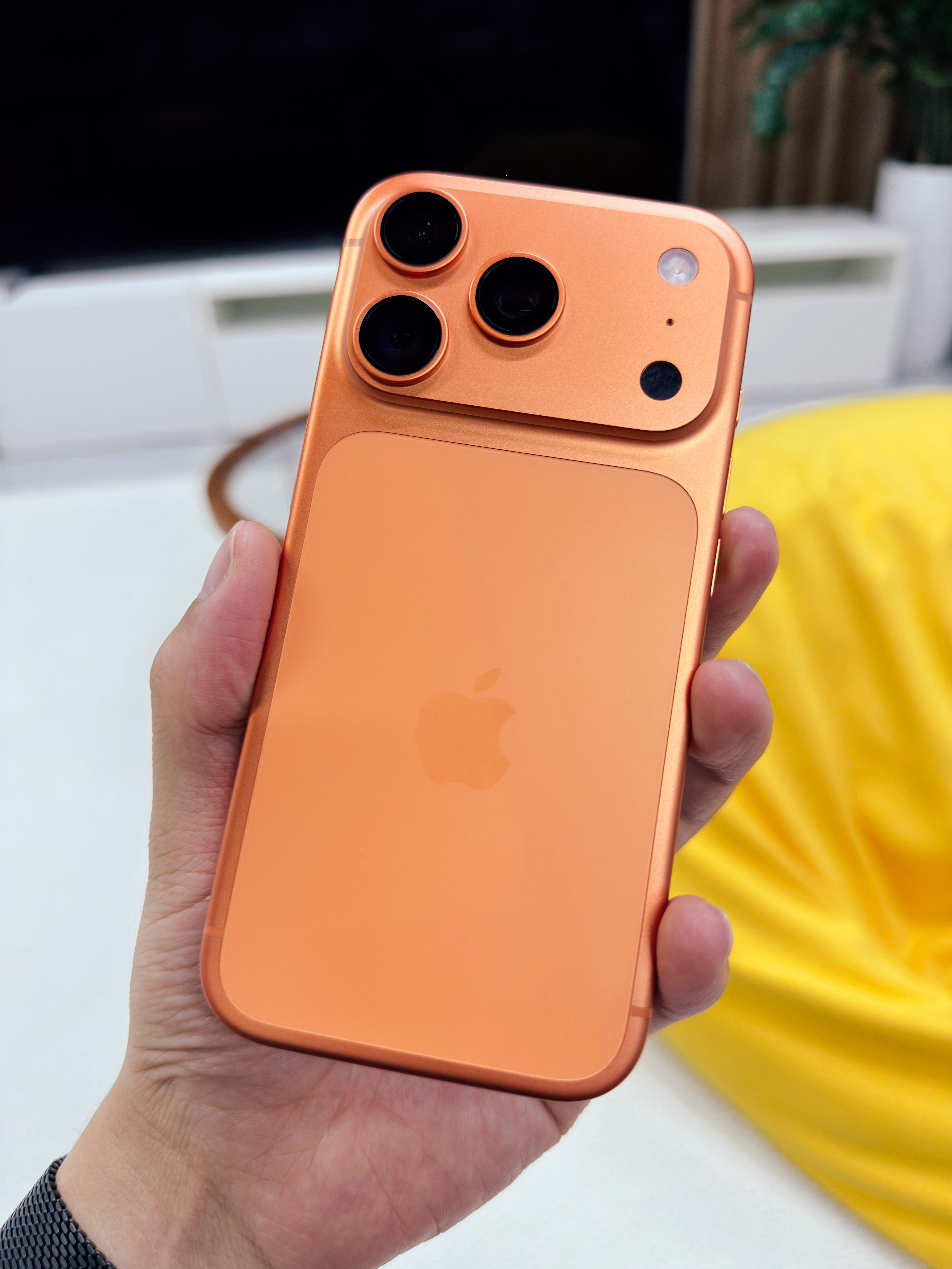 早上好啊朋友们～[嘻嘻]来自 iPhone 17 Pro Max 星宇橙 512