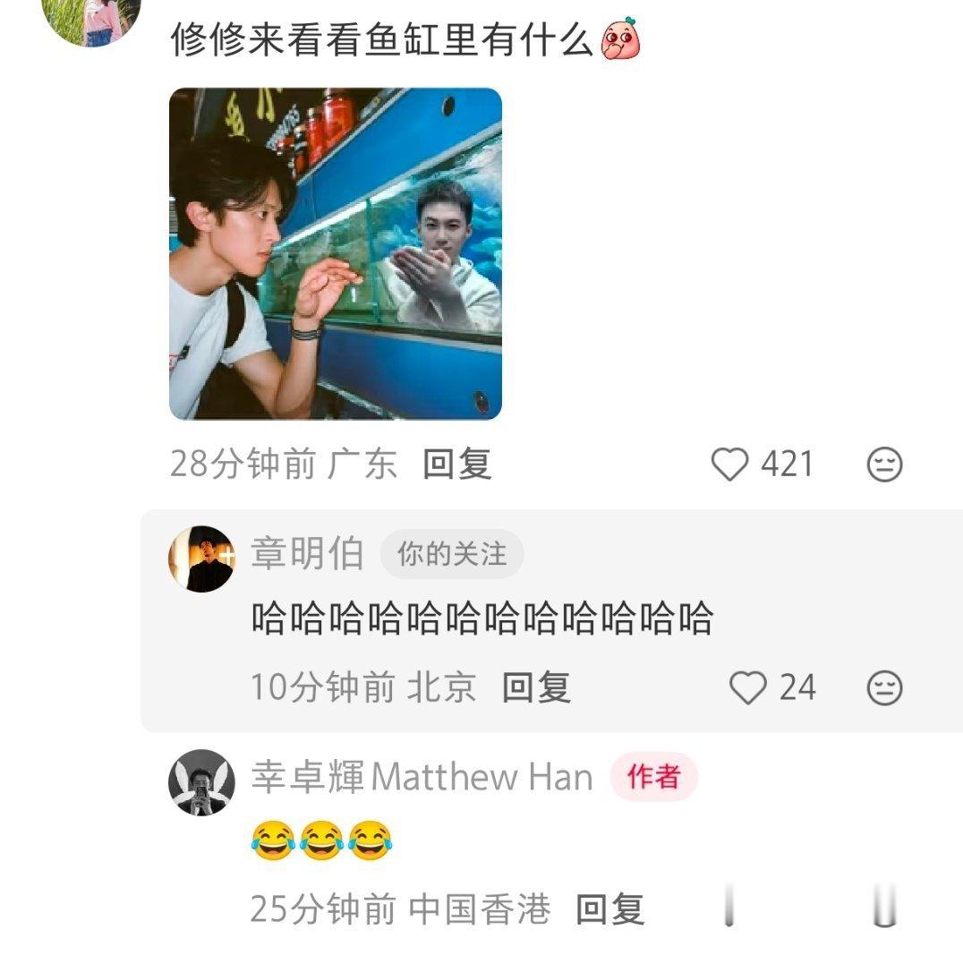 别笑了 出来直播了 