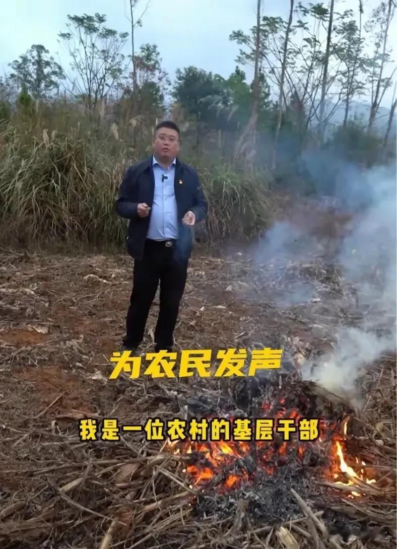 广西这位村书记火了！他说出了无数老百姓的心声“秸秆一定得烧，哪怕我不当书记也要烧