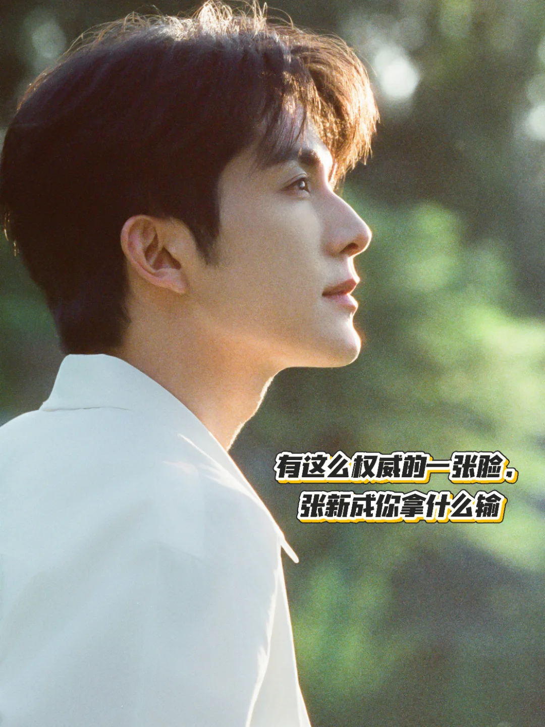 有这么权威的一张脸，张新成你拿什么输