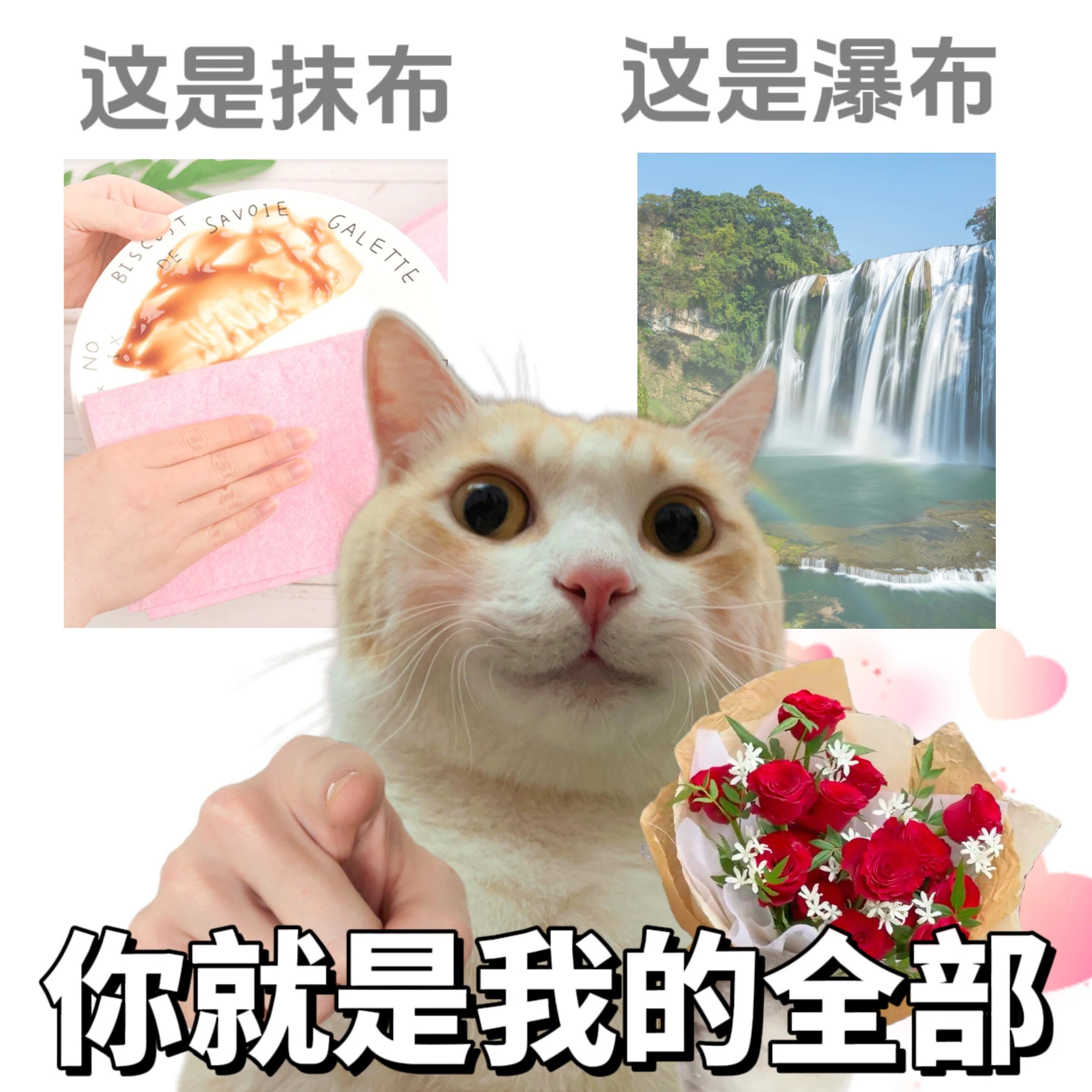 麻烦辉辉妈了[好爱哦][好爱哦][好爱哦]还有你什么时候出来[哼][哼][哼] 