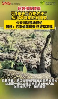 3米大蛇溜进鸡棚想偷蛋？7月24日报道，浙江阿姨吓得报警，消防员到场一看乐了：这