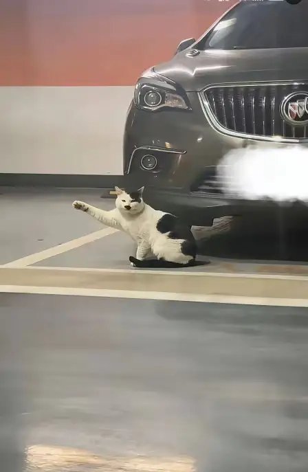 有点地狱了…… 