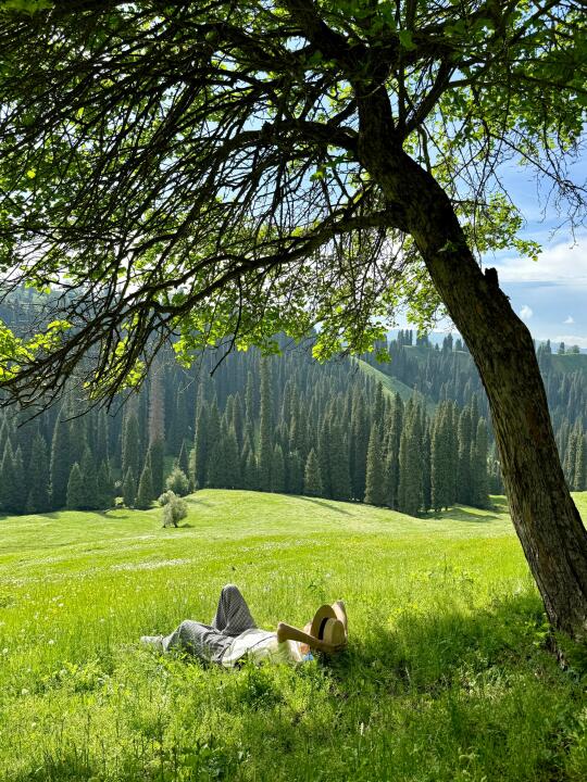 盛夏的来临，又是进山的时间到了~