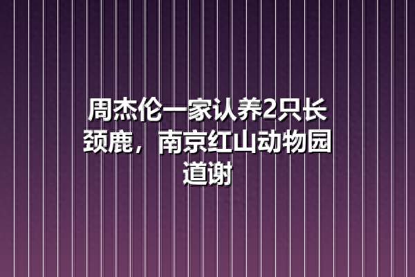 周杰伦一家认养2只长颈鹿，南京红山动物园道谢