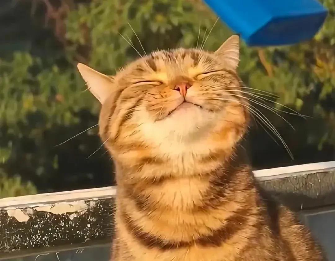 有时候
只要把心胸敞开
快乐也会逼人而来
良辰美景，赏心乐事
随处皆是
雨有雨的