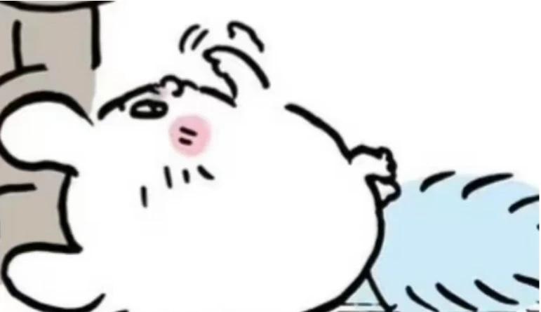 小飞鼠是我见过、最懒、最馋、最困、最傻、最老、最肥、最闲、最贪吃、最脏、最笨、最