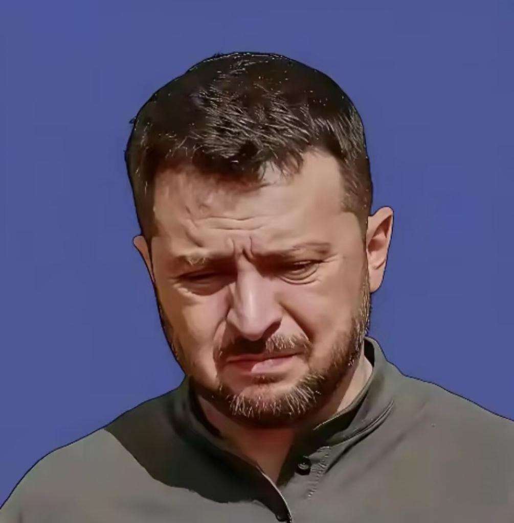 快讯！快讯！

乌克兰宣布了！

11月26日，乌克兰总统泽连斯基通过官方渠道官