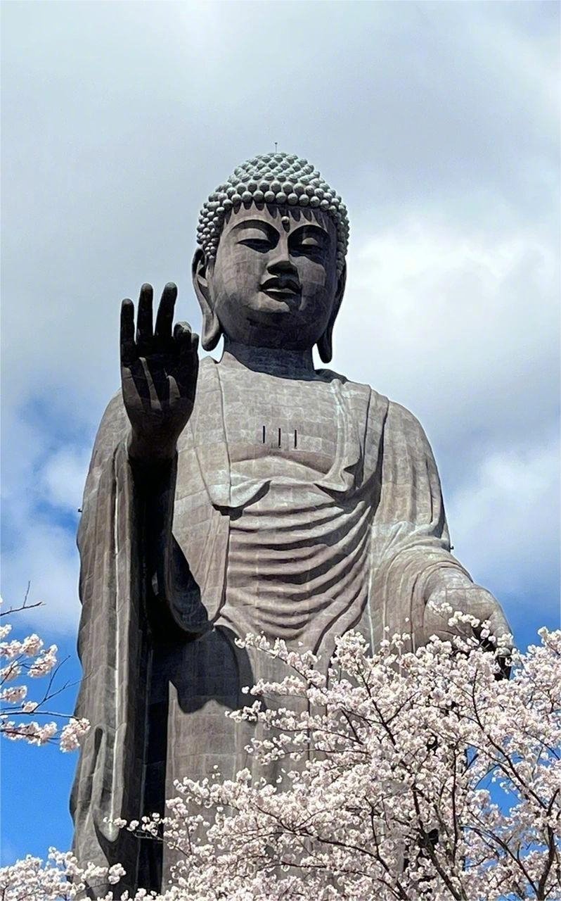 好事发生在你身上 ​​​