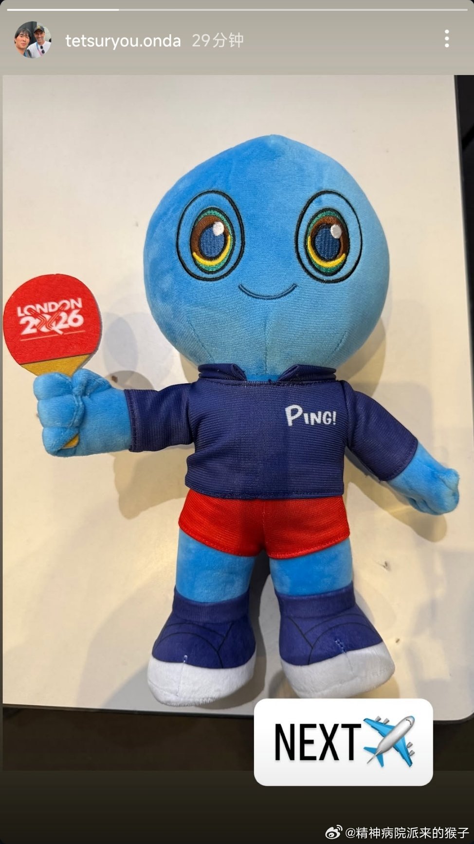 2026年伦敦团体世乒赛吉祥物玩偶📷 