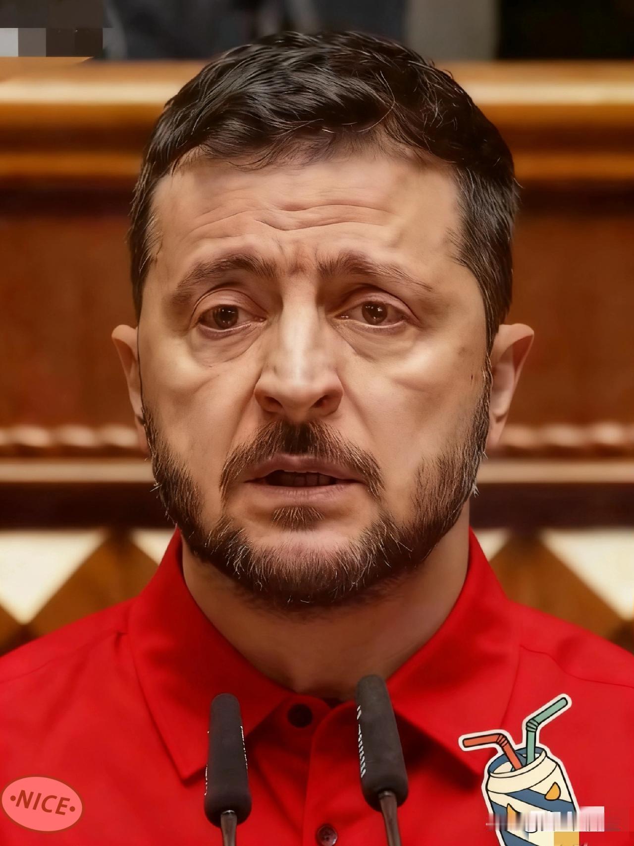 12月4日，乌克兰外长瑟比加在布鲁塞尔说，五个北约国家通过乌克兰优先需求清单新掏