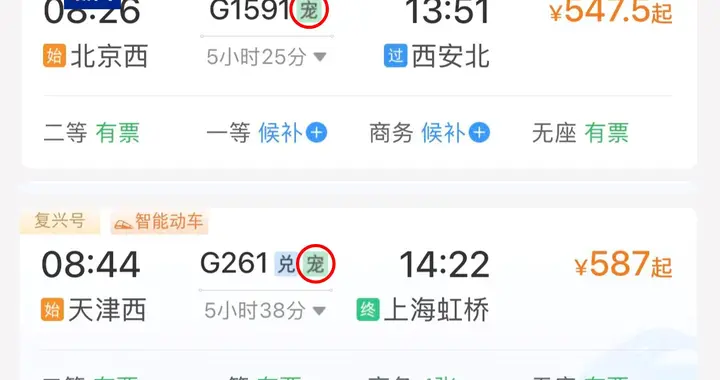 部分车票带“宠”字 宠物托运服务上新了