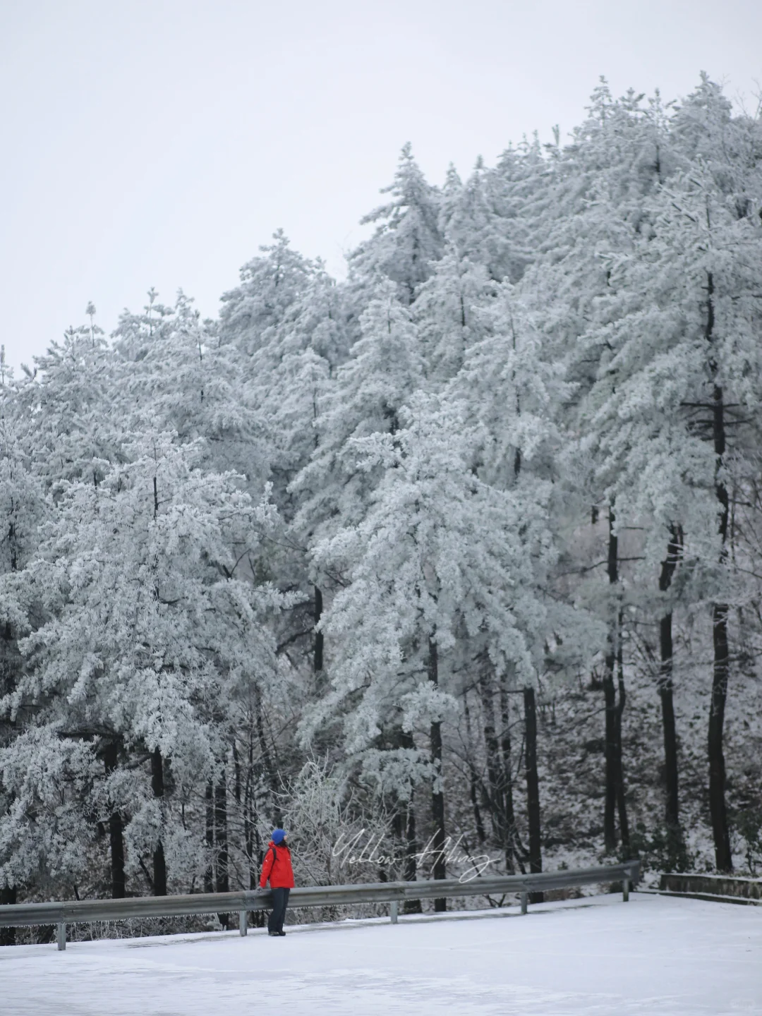 宁波拍照｜四明山雪
