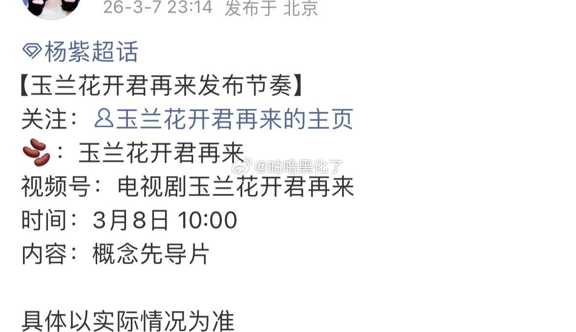 杨紫玉兰花开君再来明天有概念先导片