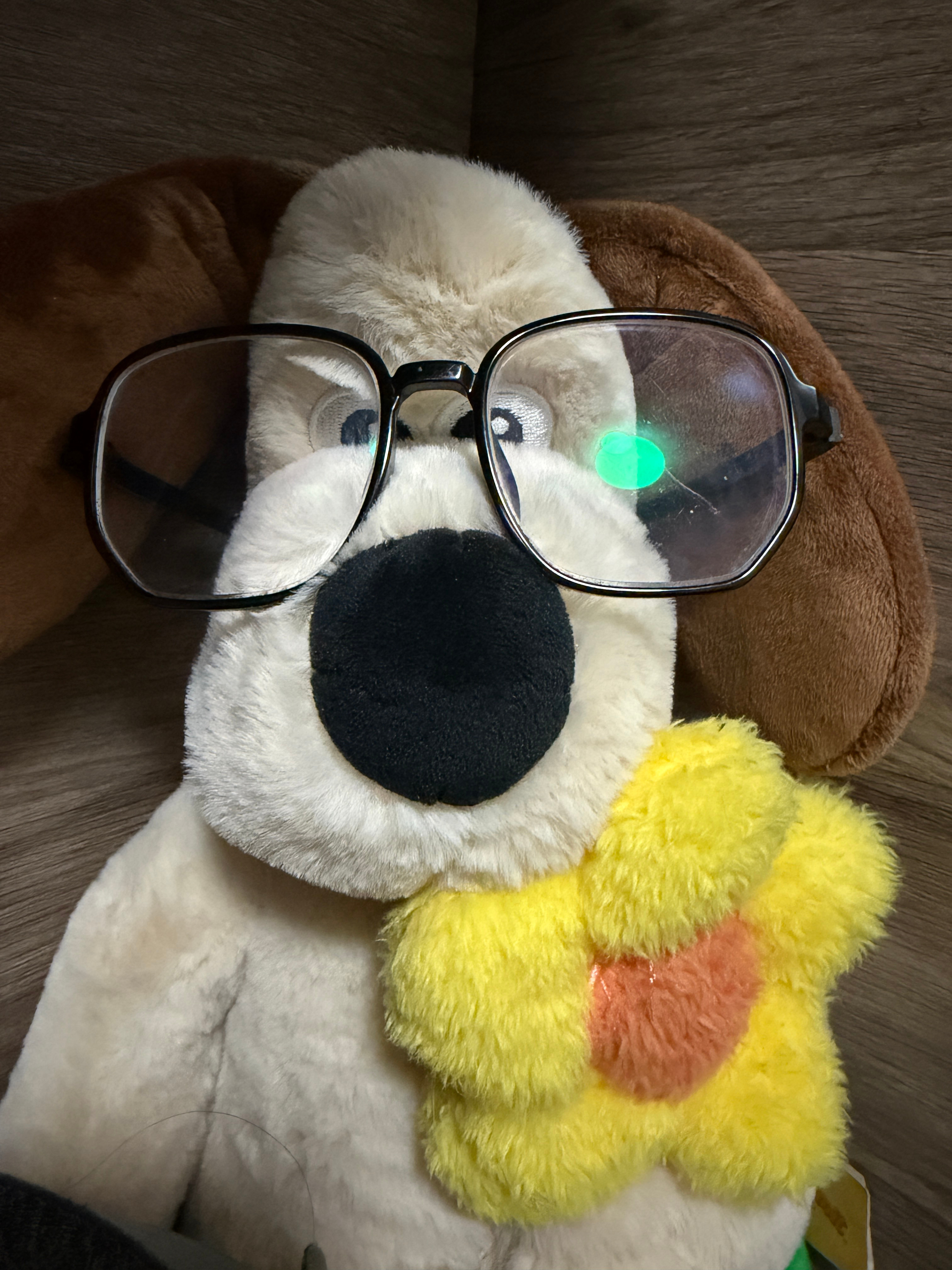 黑色眼镜最百搭了嘻嘻 