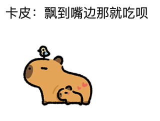 【园方回应卡皮巴拉吃飞絮】飘到嘴边那就吃呗小鱼妹儿将向卡皮巴拉学习这种生活态度！