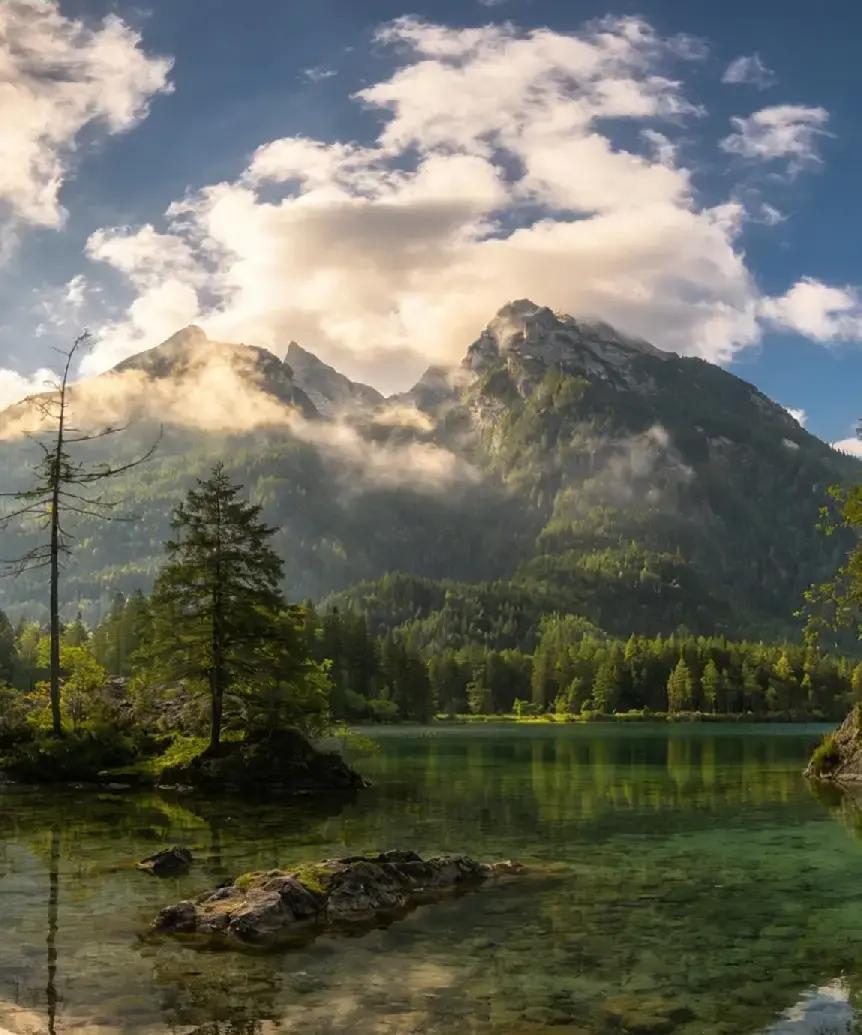 人过四十五才懂：攥不住的浮华，抵不过无病无痛的健康
医生曾坦言，本能的冲动比寿命