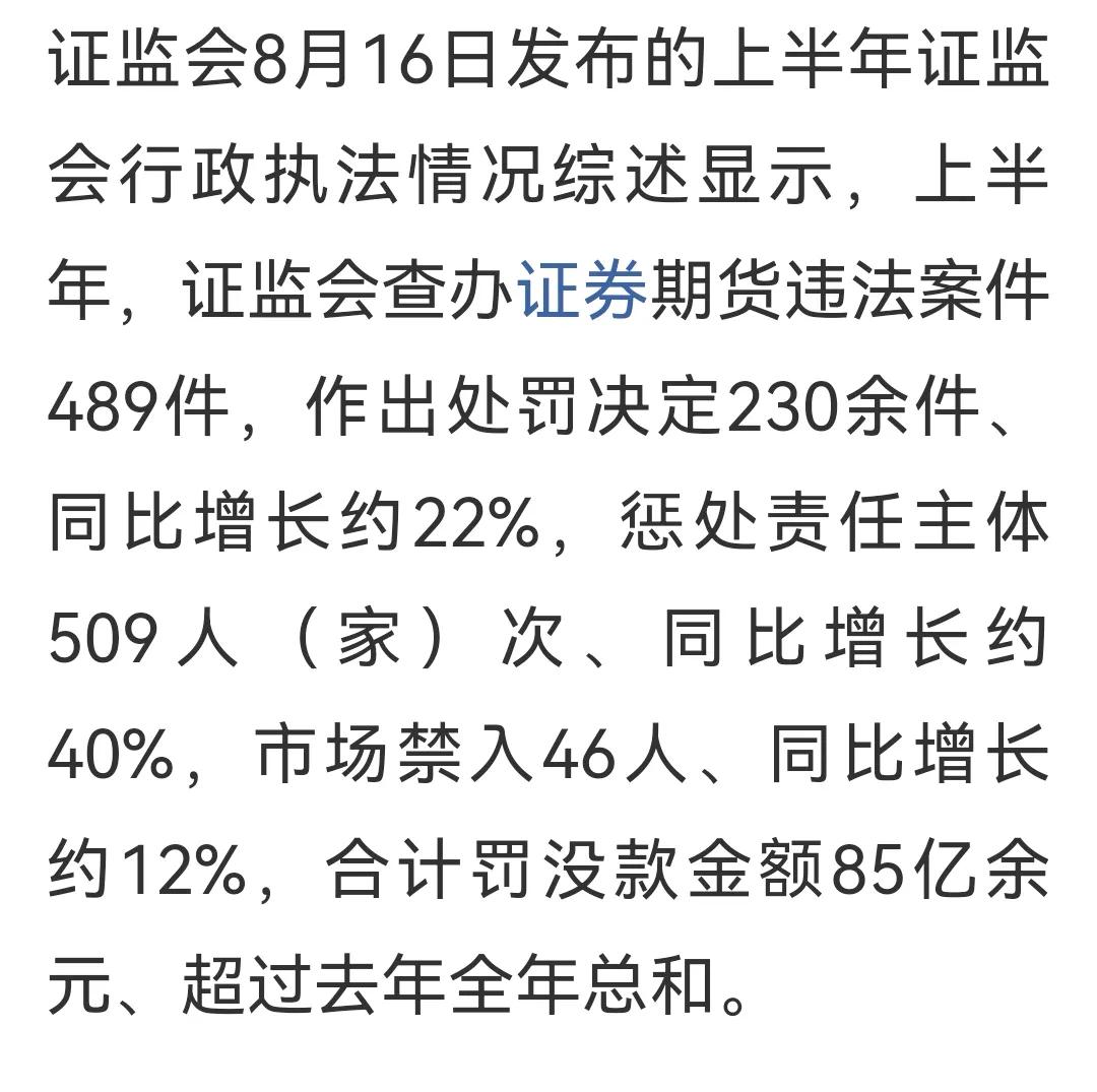 A股严刑峻法，上半年共查办489件，做出处罚的有230余件。共计罚没85多亿。一