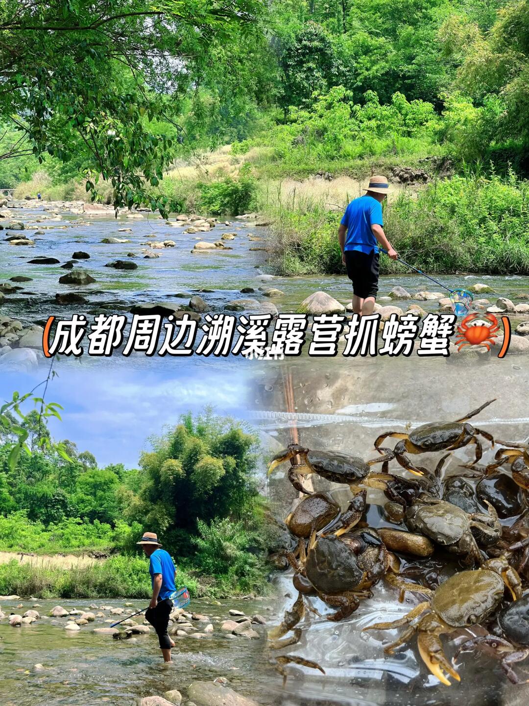 成都周边12条‼️溯溪露营抓螃蟹🦀附路线攻略