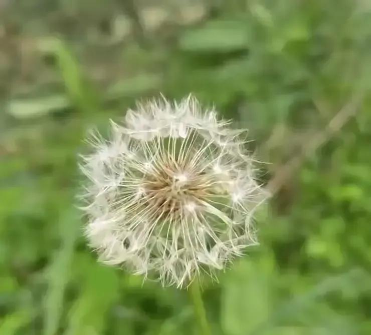 刷到一条新闻，心里堵得慌。
六十多岁的农村爸妈，把攒了一辈子的钱全掏出来，给儿子