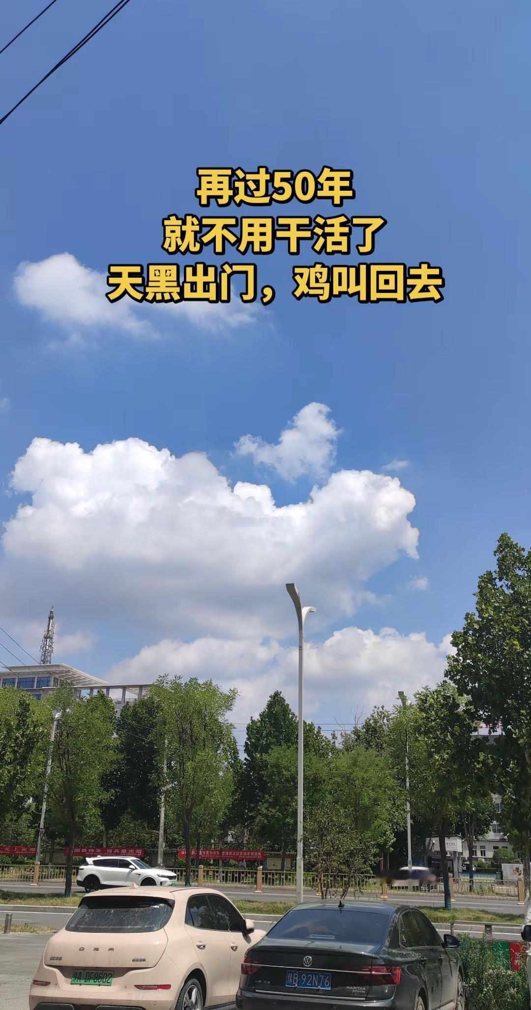 再过50年就不用干活了。乒乓球比赛 伦敦世乒赛 乒乓球女团中国队战胜日本队夺冠