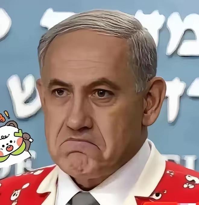 以色列最新消息！
2026年4月5日，以色列突然翻脸了，宣布把所有跟法国的国防采