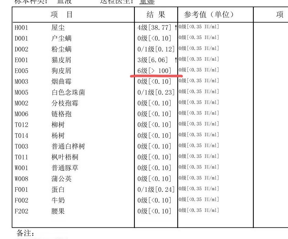 满级过敏后，我做了哪些