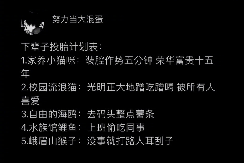 你想成为啥？ ​​​