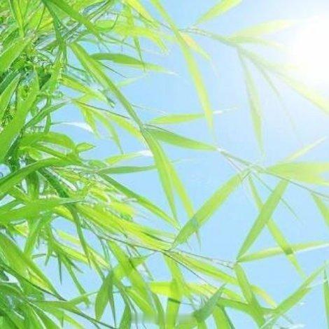 生活最好的样子，不是被别人认可和喜欢，而是懂得自我欣赏。不必讨好别人，也不用迷失