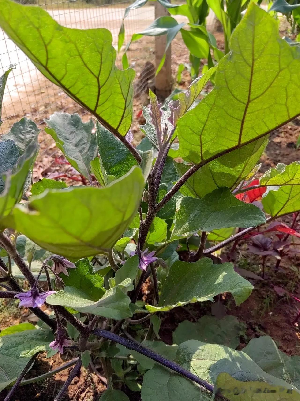 当前中小学生作业太多，主要原因是钱作怪！你问问你的学生你的孩子，课堂上老师教的课