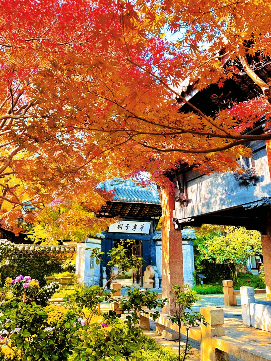 不输苏州园林‼️live告诉你无锡惠山有多美🍁