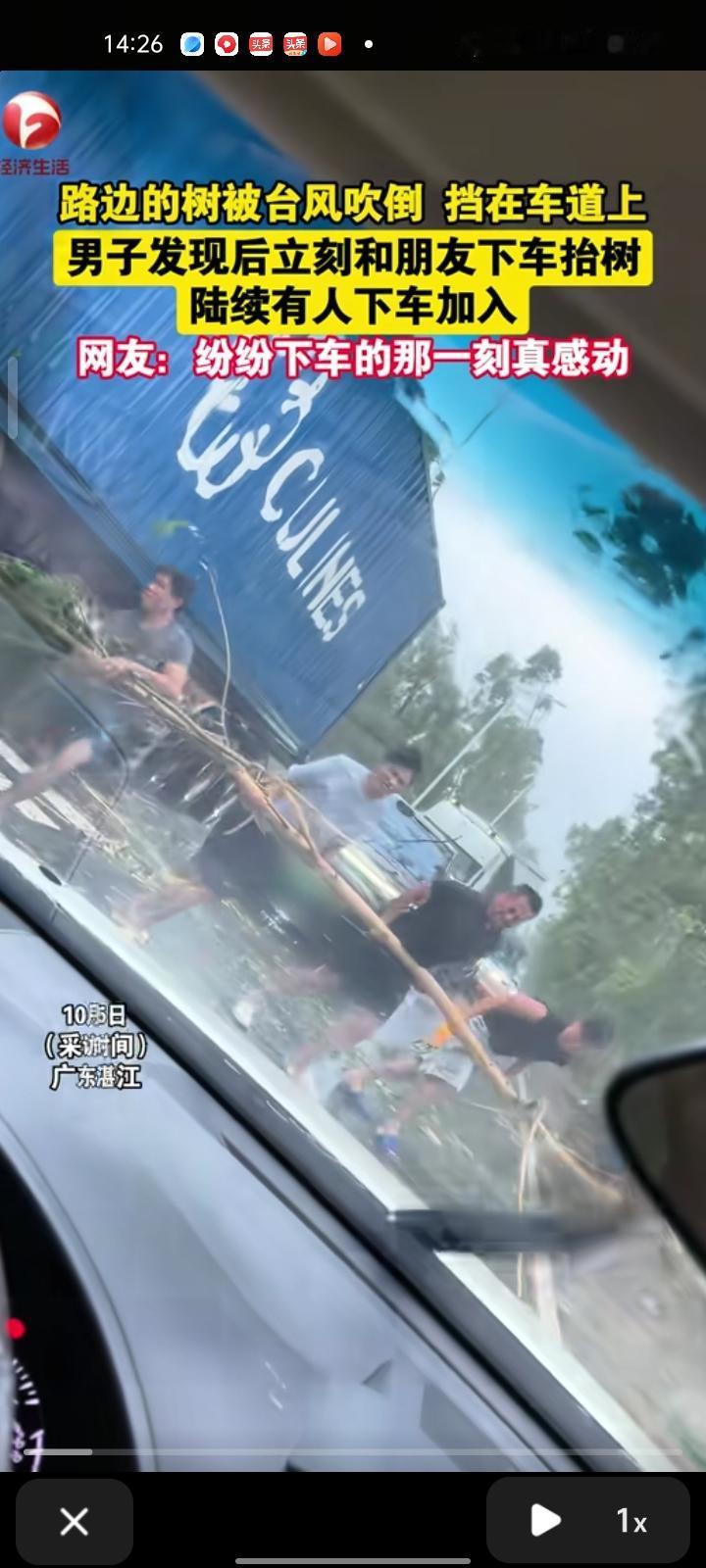 10月5日，广东湛江。路边的树被台风吹倒在路上，男子发现后立马和朋友下车去抬树，