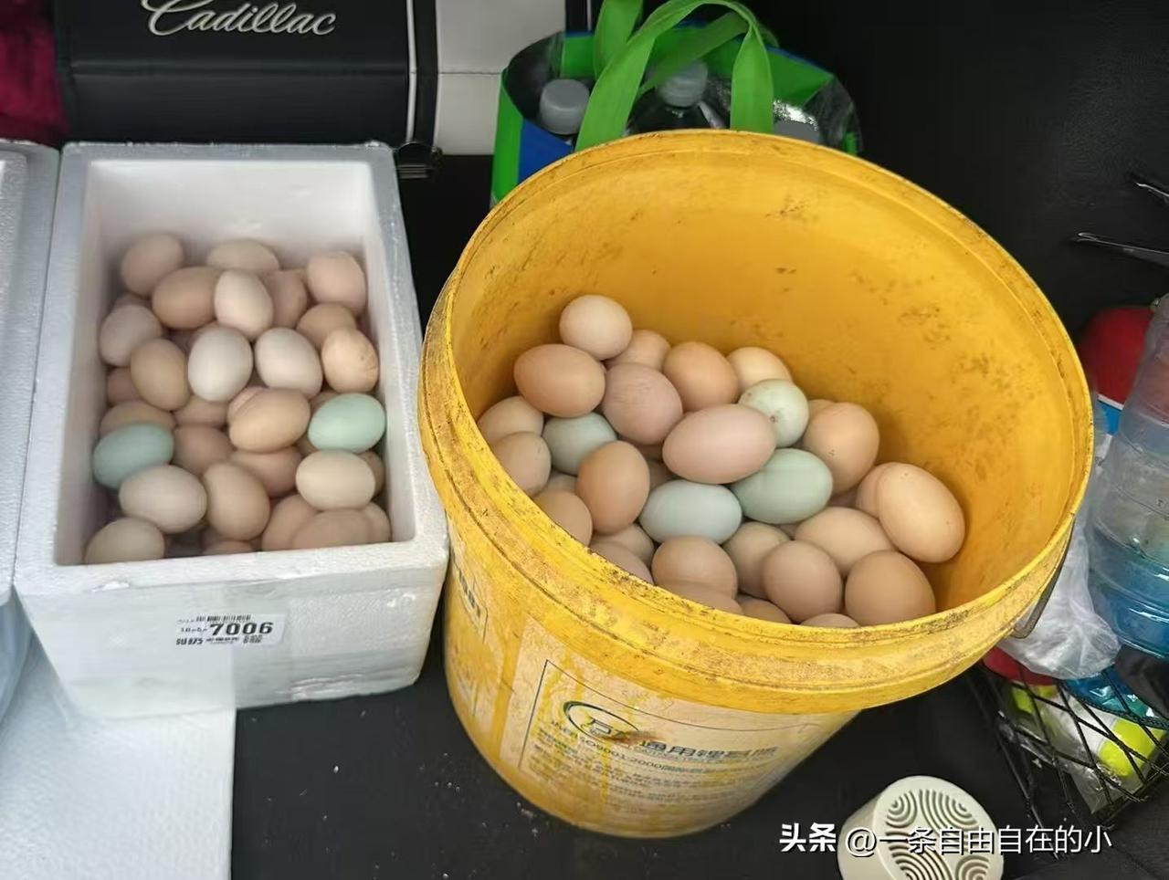 很多人每天都在纠结，早餐究竟吃什么才合适。早餐不用追求山珍海味，讲究营养均衡，吃