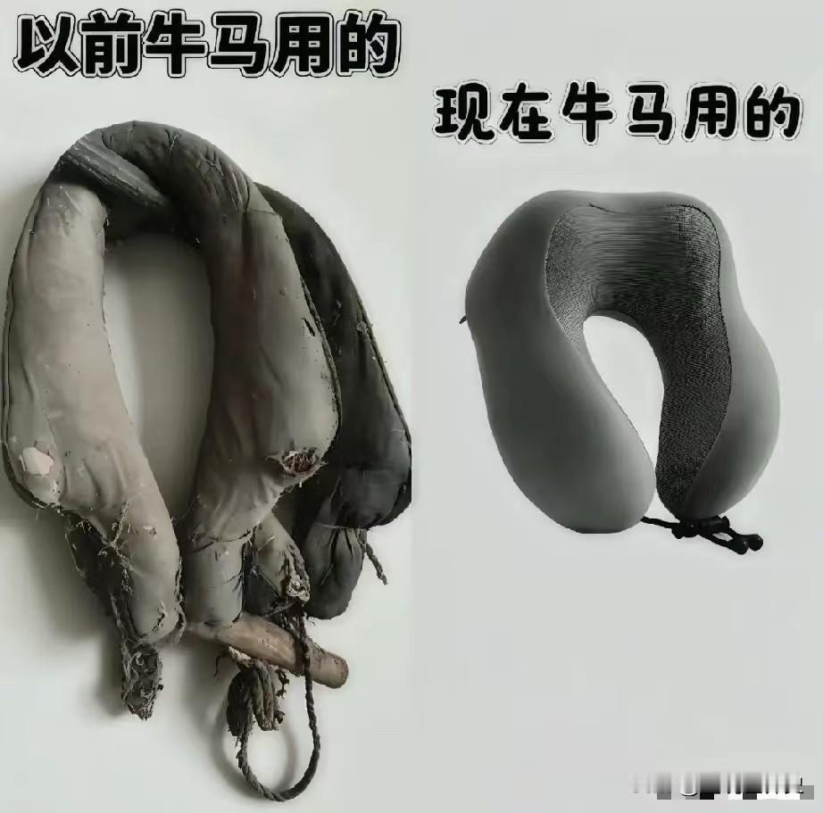 牛马用具的历史变化
牛马用具