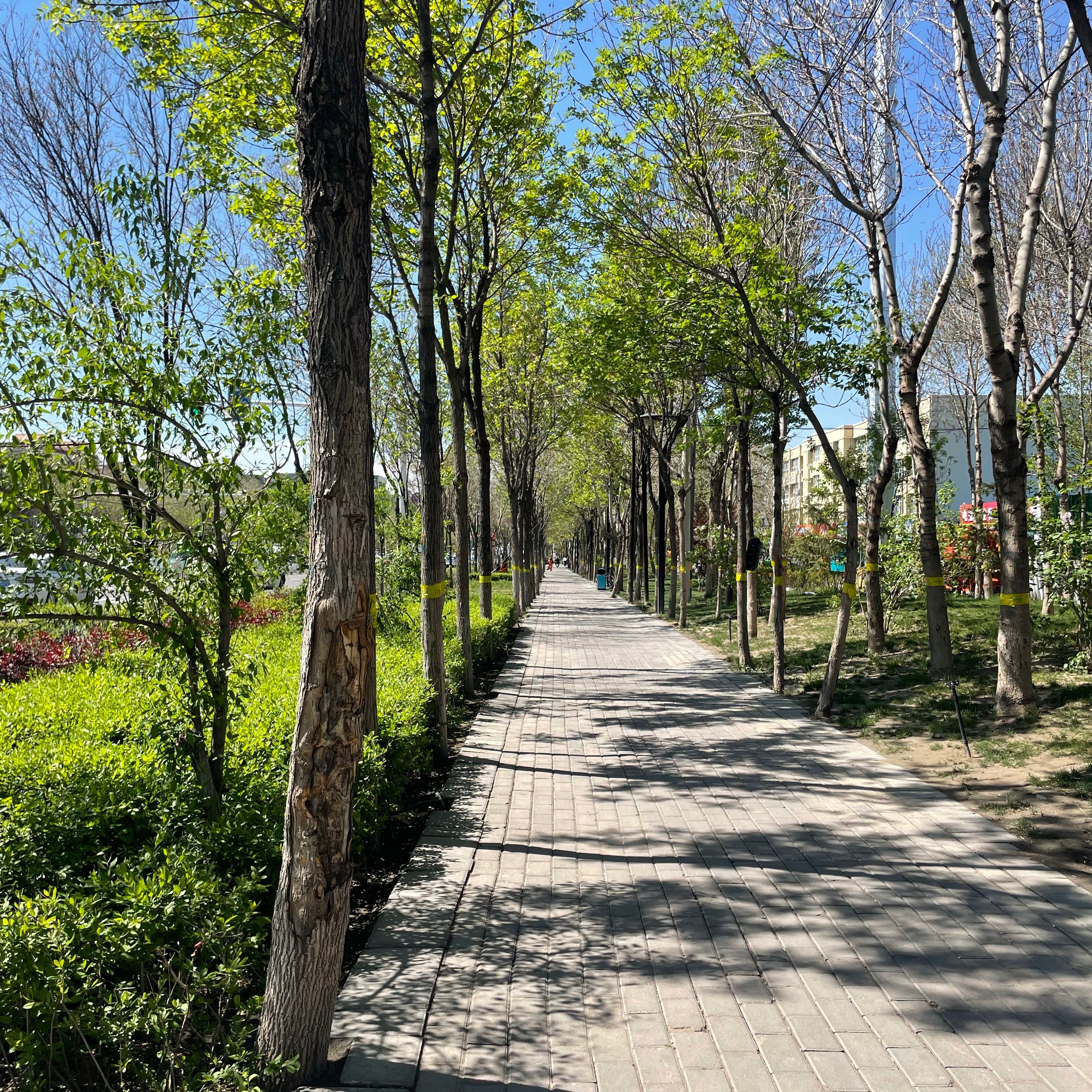 ◇多与大自然接触会放下一切焦虑◇正能量情感励志语录 ​​​