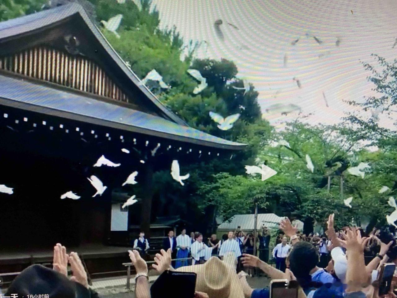 8月15日，大批日本民众在陈列日本甲级战犯的靖国神社放飞“和平鸽”，我就奇怪了：