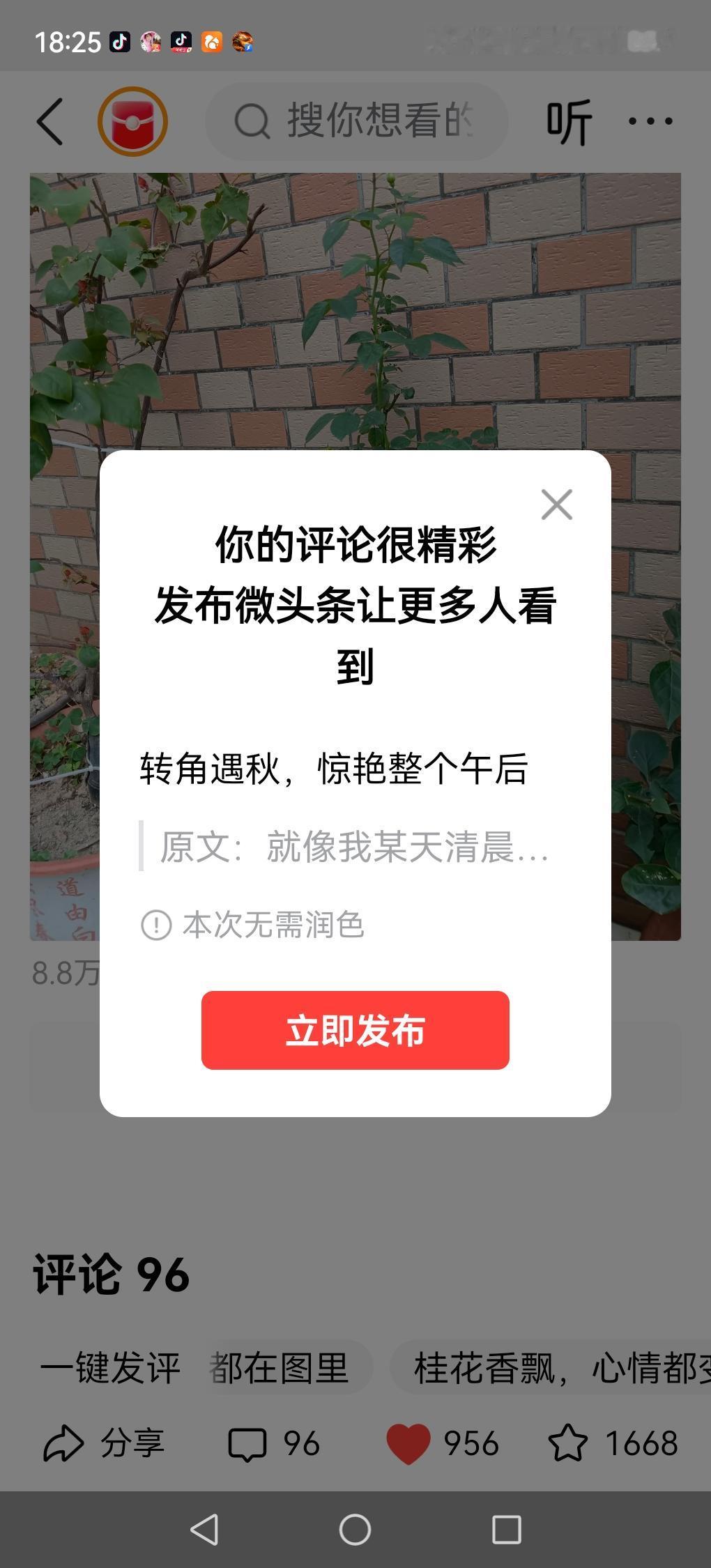 转角遇秋，惊艳整个午后