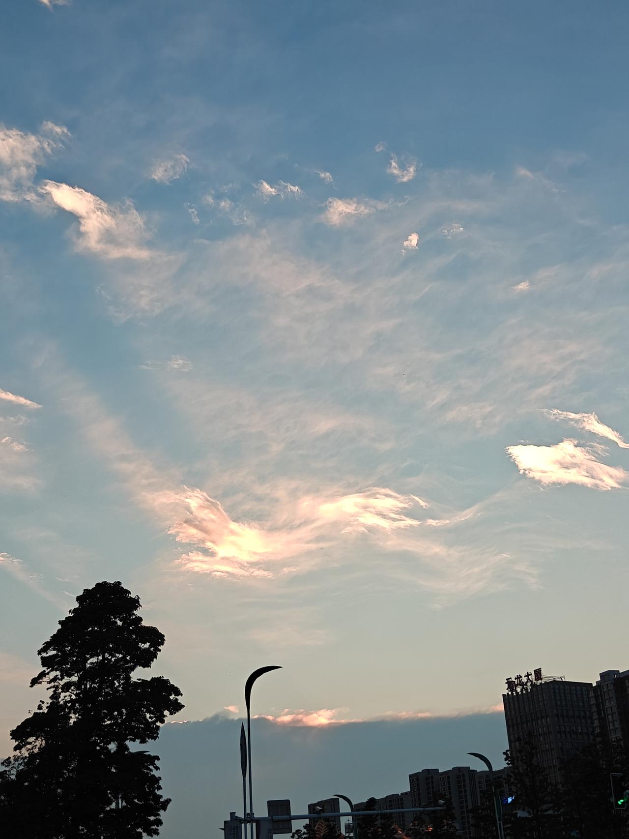 夏日生活打卡季美景只在一瞬间