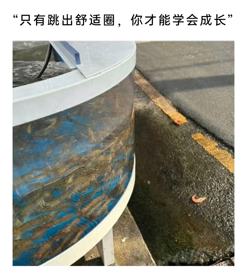 成熟了 ​​​