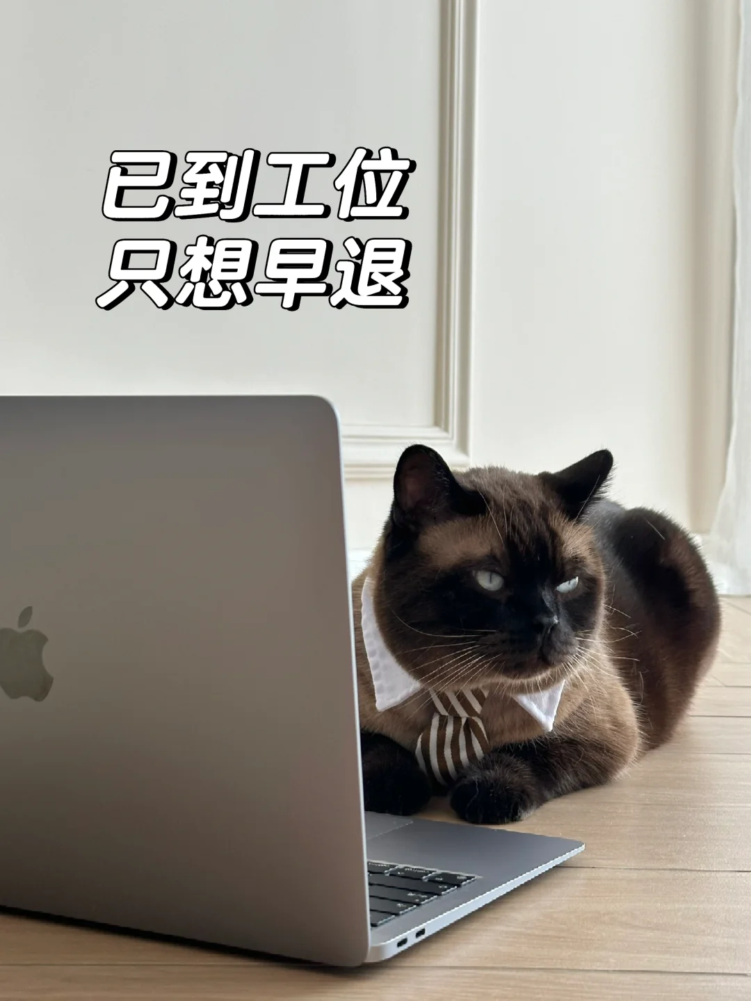 已到工位🖥️