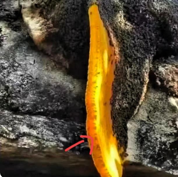 江西一名48岁摄影爱好者进山采风，休息时远远看见岩壁缝隙流淌出金黄色液体，阳光下