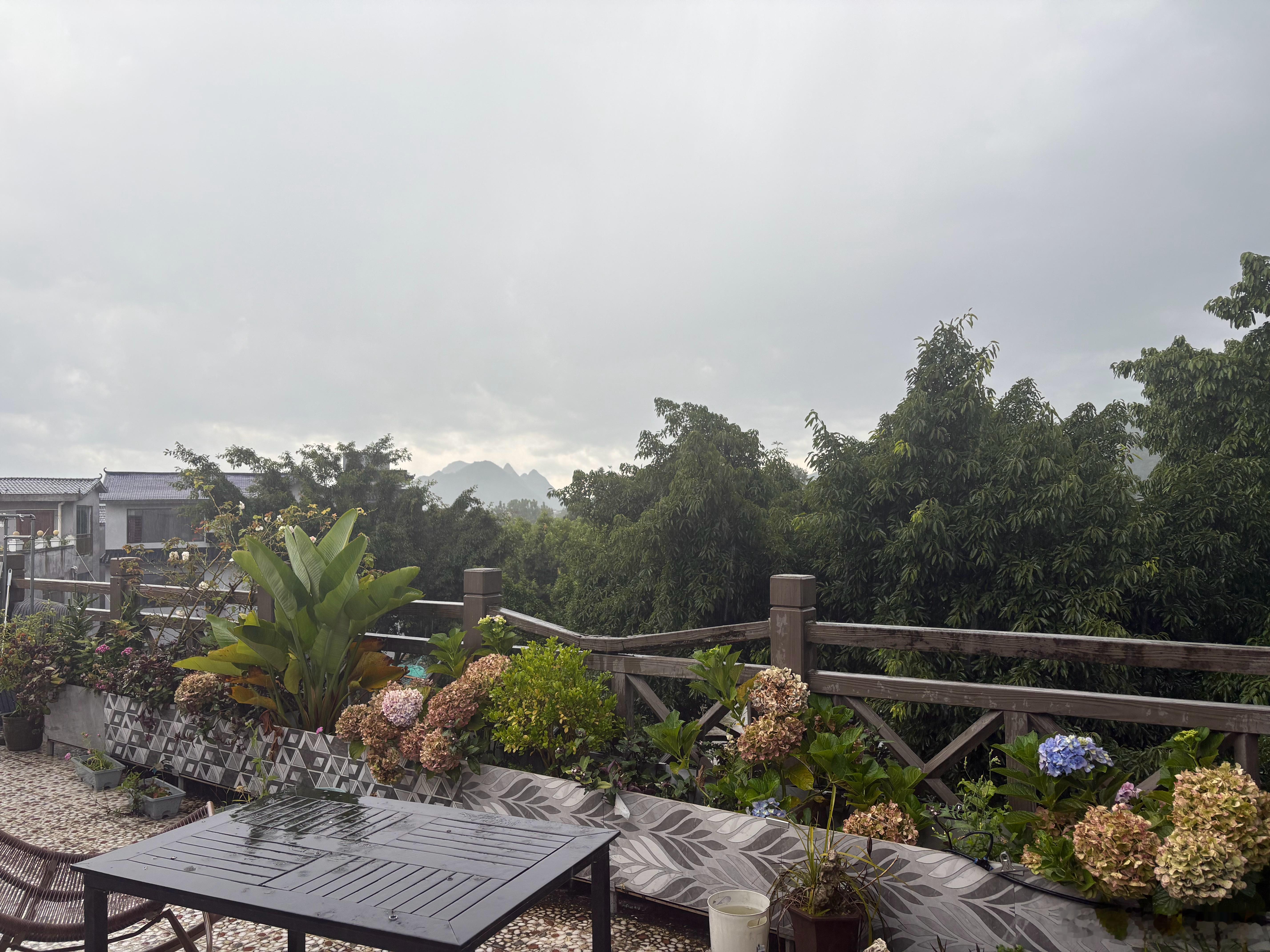 江秋灬 雨过后的风景 