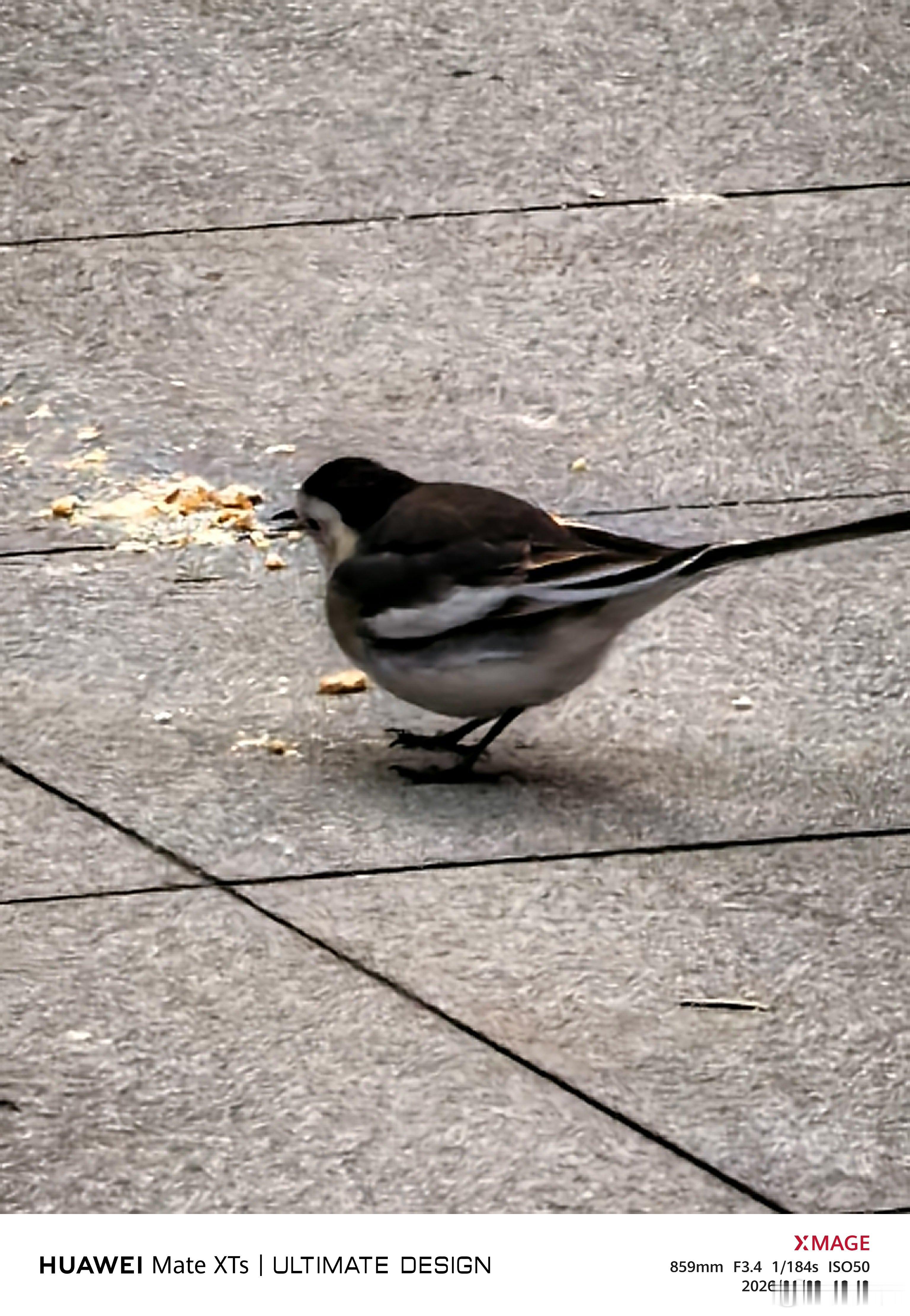 如果一个人长期不工作，那么他家里一定很有钱，毕竟你长期不工作的话，日常生活支出从